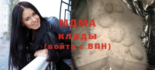 индика Каменногорск