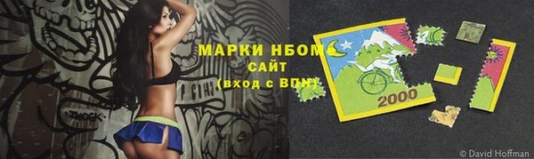 прущий лед Каменка