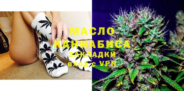 индика Каменск-Шахтинский