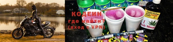 индика Каменногорск