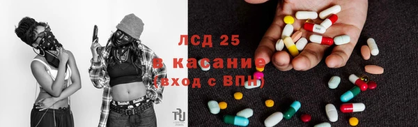 индика Каменск-Шахтинский