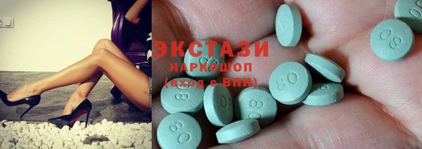 индика Каменногорск