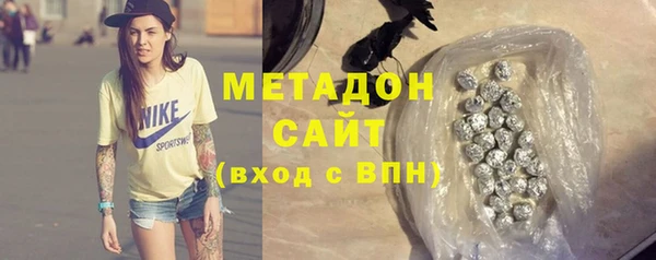 индика Каменногорск