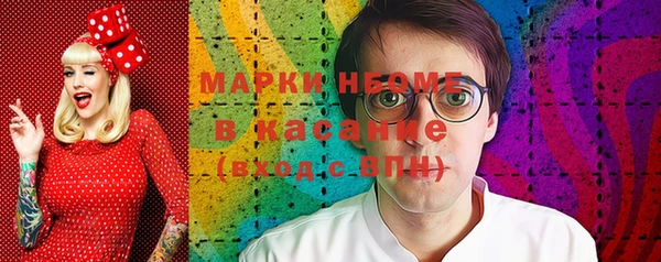 индика Каменногорск