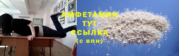 индика Каменногорск