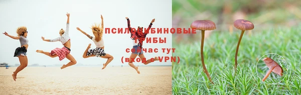 прущий лед Каменка