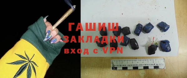 индика Каменногорск