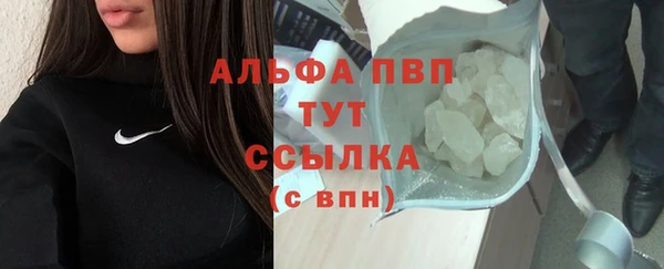 индика Каменск-Шахтинский