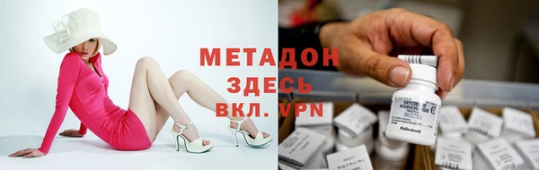 индика Каменногорск