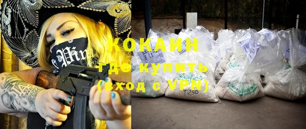 индика Каменногорск