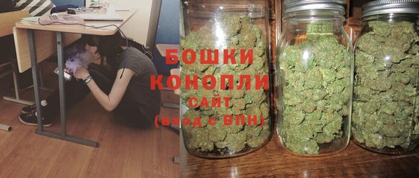мяу мяу мука Иннополис