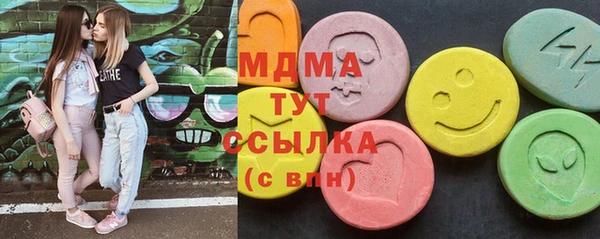 индика Каменногорск