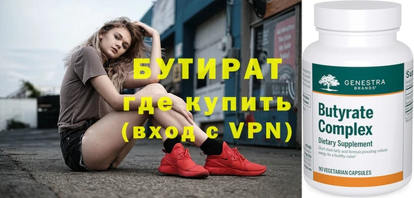 индика Каменногорск