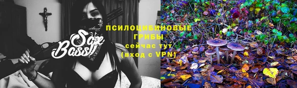 эйфоретик Инсар