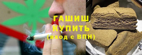индика Каменногорск