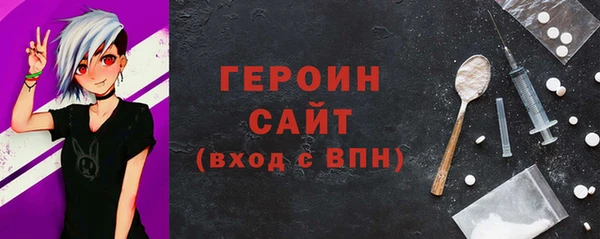 индика Каменногорск