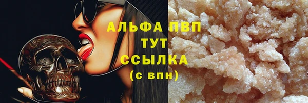 индика Каменск-Шахтинский