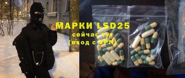 индика Каменногорск