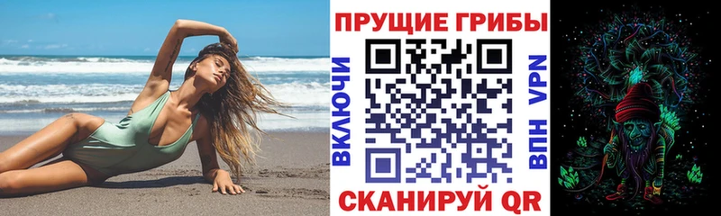 Купить закладки Кизилюрт Псилоцибиновые грибы ЛСД