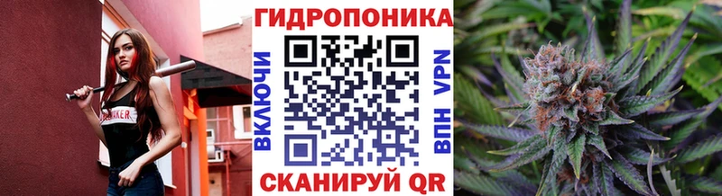 Конопля VHQ Купить закладки Кизилюрт